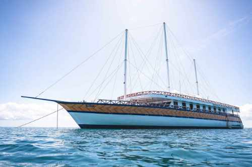 nautilus2